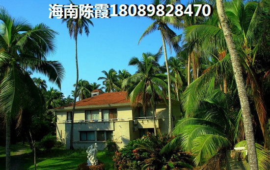 海南全面XG意味着什么意思 海南全面XG意味着什么意思