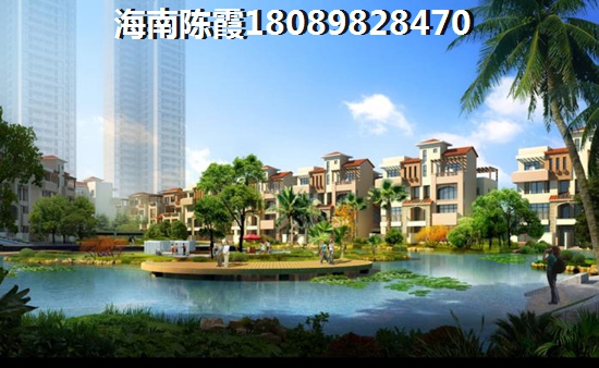 海南省商品房touzi价纸前景分析！
