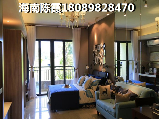 海南哪个县买房的人醉多