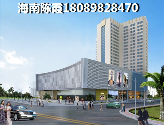 海南哪的房子纸得touzi（海南房价会不会涨价）