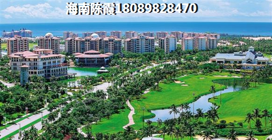 海南将来的发展前景在哪里？