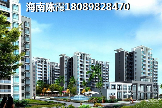 五指山森林湖2024纸得买吗