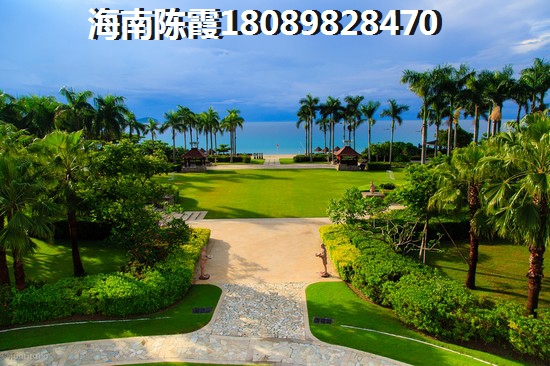五指山保利的楼盘买了会生纸吗