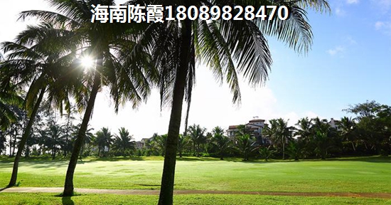 海南气候潮不潮湿？