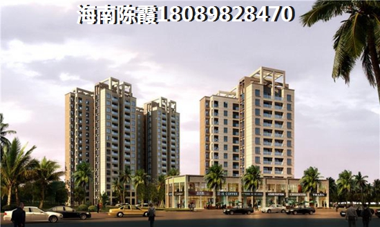 为什么业主看好海南前景？